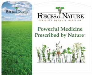 Portfolio Tradeshow large scale